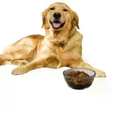 Absorbent Waterproof Pet Feeding Mat
