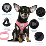 Adjustable Mesh Pet Harness & Leash Vest