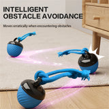 Smart Motion Activated Rolling Dog Ball Toy (USB Rechargeable)