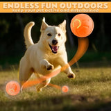 Smart Electric Pet Ball Toy