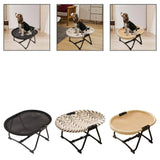 Premium Elevated Pet Bed (Foldable & Heavy-Duty)