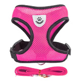 Adjustable Mesh Pet Harness & Leash Vest