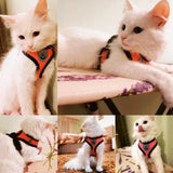 Adjustable Mesh Pet Harness & Leash Vest