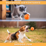 Smart Electric Pet Ball Toy