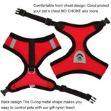 Adjustable Mesh Pet Harness & Leash Vest