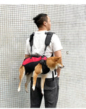 Pet Travel Backpack Carrier (Outdoor Hiking Bag)