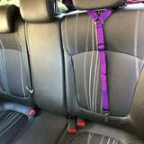 Adjustable Pet Car Safety Belt – Headrest Attachment