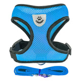 Adjustable Mesh Pet Harness & Leash Vest