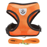 Adjustable Mesh Pet Harness & Leash Vest