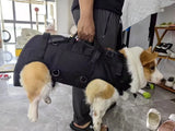 Pet Travel Backpack Carrier (Outdoor Hiking Bag)