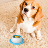 Interactive Pet Puzzle Treat Toy – Slow Feeder Food Game