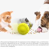 Anti-Overturn Slow Feeder Balance Car – Interactive Treat Dispenser for Dogs & Cats