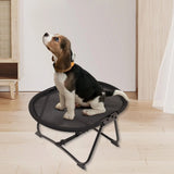 Premium Elevated Pet Bed (Foldable & Heavy-Duty)