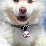 6PCS Stainless Steel Pet Collar Bells (Gold Decor Pendants)