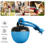 Smart Motion Activated Rolling Dog Ball Toy (USB Rechargeable)