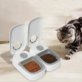 Smart 2-Meal Automatic Pet Feeder – Dual Bowl Timed Dispenser