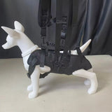 Pet Travel Backpack Carrier (Outdoor Hiking Bag)