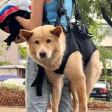 Pet Travel Backpack Carrier (Outdoor Hiking Bag)