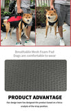 Pet Travel Backpack Carrier (Outdoor Hiking Bag)
