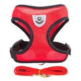 Adjustable Mesh Pet Harness & Leash Vest