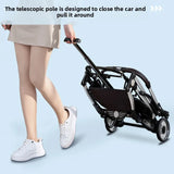 Foldable Pet Stroller with Wheels – Outdoor Travel Carrier