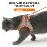 Training Collar Replacement Contact Points