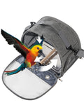 Transparent Pet Backpack Carrier (Breathable Design)