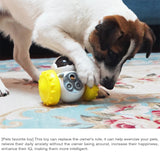Anti-Overturn Slow Feeder Balance Car – Interactive Treat Dispenser for Dogs & Cats