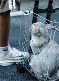 Transparent Pet Trolley Travel Carrier – Rolling Suitcase Cart