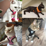 Adjustable Mesh Pet Harness & Leash Vest