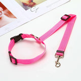 Adjustable Pet Car Safety Belt – Headrest Attachment