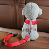 Car Seat Belt Harness for Dogs & Cats
