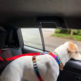 Adjustable Pet Car Safety Belt – Headrest Attachment