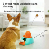 Dog Food Puzzle Training Dispenser
