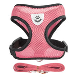 Adjustable Mesh Pet Harness & Leash Vest
