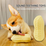 TPR Peanut Squeaky Chew Toy – Vegetable Series for Dogs