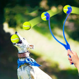 Pet Tennis Ball Launcher Stick