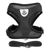 Adjustable Mesh Pet Harness & Leash Vest