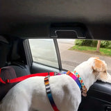 Adjustable Pet Car Safety Belt – Headrest Attachment