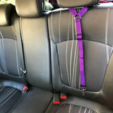 Adjustable Pet Car Safety Belt – Headrest Attachment