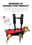 Pet Travel Backpack Carrier (Outdoor Hiking Bag)