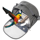 Transparent Pet Backpack Carrier (Breathable Design)